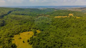 COMISION 0% Teren Grid/Inima Naturii/ Oportunitate de investiție - imagine 14