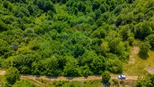 COMISION 0% Teren Grid/Inima Naturii/ Oportunitate de investiție - imagine 17