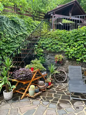 Casă cu 5 camere, de vânzare, in Tautii Magheraus - imagine 7