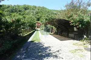 Casă cu 5 camere, de vânzare, in Tautii Magheraus - imagine 3