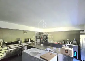 Spatiu comercial de vanzare - Strandul Neptun Arad (fostul Vox Maris) - imagine 6