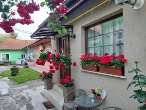 Refugiu urban cu personalitate – Casa cu mansarda si crama amenajata -  zona centrala