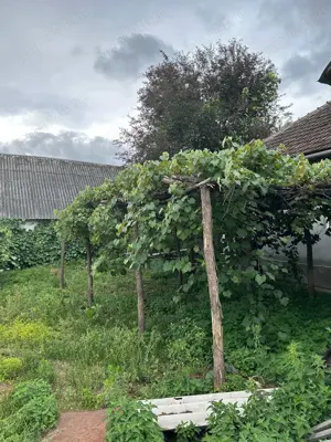 Vând casă Asuaju de Jos Maramureș  - imagine 5