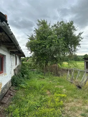 Vând casă Asuaju de Jos Maramureș  - imagine 6