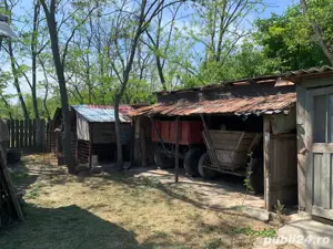 Casa de vanzare - Filipesti, jud. Braila - imagine 10