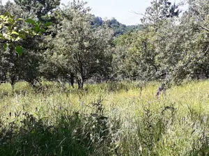 Teren intravilan 1935 mp, cadastrat, deschidere la stradă 23ml. - imagine 6