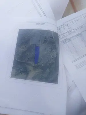 Pădure de Vânzare Vîrciorog 