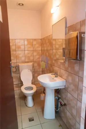 Hala industriala depozitare+ Birouri, 718 mp, acces tir - Dorobantilor - imagine 17