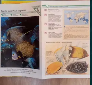 Glosare cu snimale - imagine 3