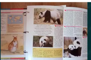 Glosare cu snimale - imagine 2