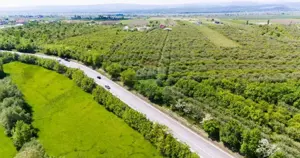 Teren extravilan zona livada, 7200 mp, cu deschidere la DN2 - E85, Falticeni - Spataresti - imagine 3 Teren extravilan zona livada, 7200 mp, cu deschidere la DN2 - E85, Falticeni - Spataresti - imagine 3