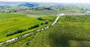 Teren extravilan zona livada, 7200 mp, cu deschidere la DN2 - E85, Falticeni - Spataresti - imagine 2 Teren extravilan zona livada, 7200 mp, cu deschidere la DN2 - E85, Falticeni - Spataresti - imagine 2