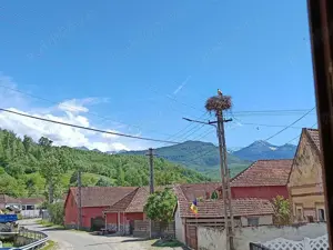 Casă cu grădină  - imagine 6