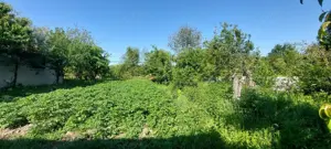 Casă cu grădină  - imagine 7