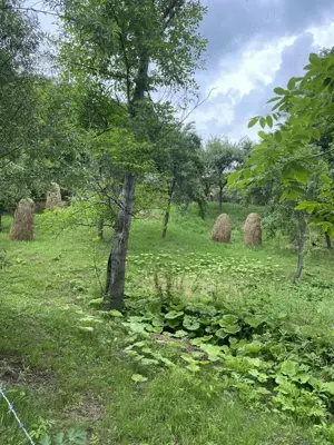 Casă și teren de vânzare  - imagine 5