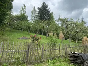 Casă și teren de vânzare  - imagine 3