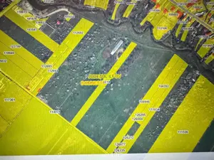 Teren de vanzare 12.700 mp Domnesti Curtea Domneasca