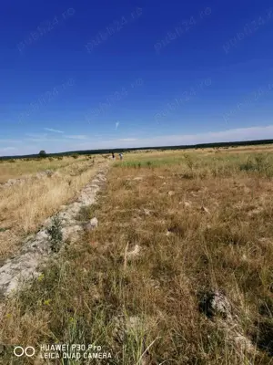 Teren de vanzare in Pausa 1000m2