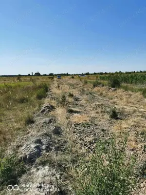 Teren construibil de vanzare in Pausa 1000m2 - imagine 2