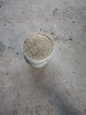 Vând orz producție 2025 