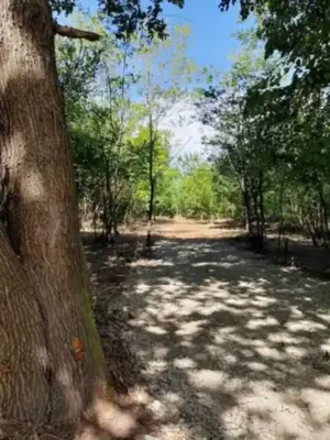 Vand teren intravilan in statiunea Jupiter 