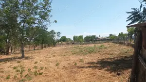 Casă + teren (2704mp), Tufești, Brăila. - imagine 7