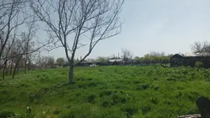 Casă + teren (2704mp), Tufești, Brăila. - imagine 3