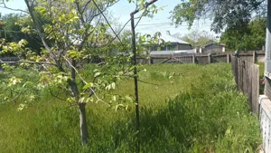 Casă + teren (2704mp), Tufești, Brăila. - imagine 5