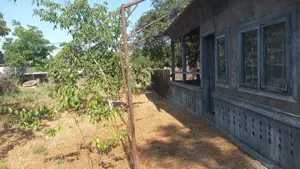 Casă + teren (2704mp), Tufești, Brăila. - imagine 10