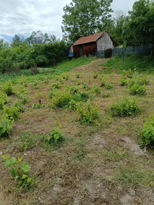 Casă cu teren generos la 15 km de Craiova - imagine 7