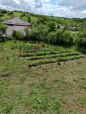 Casă cu teren generos la 15 km de Craiova - imagine 4