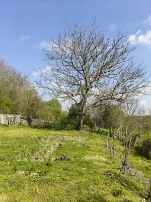 Casă cu teren generos la 15 km de Craiova - imagine 8