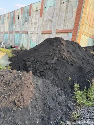 cox petrolier nesortat