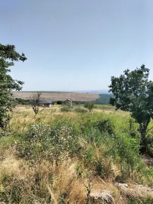 Vand teren Barlad - imagine 5