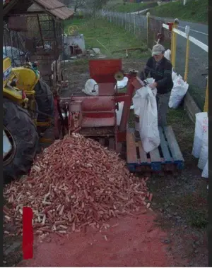 Batoza de porumb Bourgoin Bamby - imagine 5