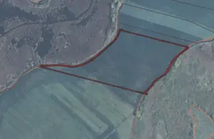 Teren agricol (4.65 ha) in comuna Satchinez (jud.Timis)