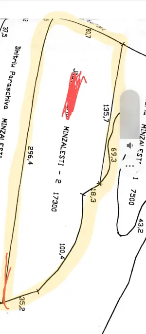 Vând pădure foioase fag, stejar, Mânzălești, Buzău  - imagine 5