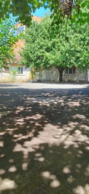 Cazare cu curte privată