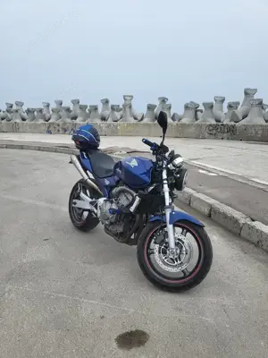 Honda Hornet CB600F PC36 - imagine 2