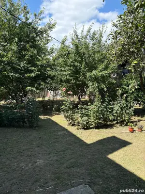 Vila S+P+E+M, la 3 km de Calimanesti  - imagine 2