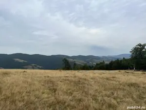 Vând teren 6ha jumate și casa bătrânească locuibilă. Apa, curent și drum de acces de țară.