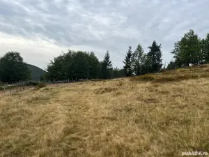 Vând teren 6ha jumate și casa bătrânească locuibilă. Apa, curent și drum de acces de țară. - imagine 2