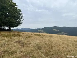 Vând teren 6ha jumate și casa bătrânească locuibilă. Apa, curent și drum de acces de țară. - imagine 7