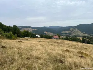 Vând teren 6ha jumate și casa bătrânească locuibilă. Apa, curent și drum de acces de țară. - imagine 4