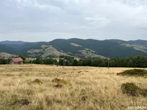 Vând teren 6ha jumate și casa bătrânească locuibilă. Apa, curent și drum de acces de țară. - imagine 5