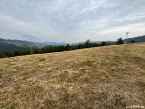 Vând teren 6ha jumate și casa bătrânească locuibilă. Apa, curent și drum de acces de țară. - imagine 6