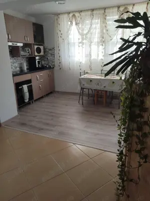 vind casa p+1 cu curte