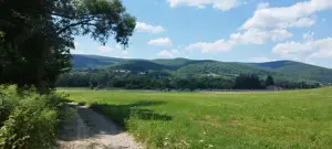 Teren forestier unic cu traseu de drumeție către Cetatea Herecz   77.000 m  în Malnaș, județul Covas - imagine 6