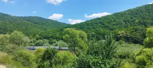 Teren forestier unic cu traseu de drumeție către Cetatea Herecz   77.000 m  în Malnaș, județul Covas - imagine 2