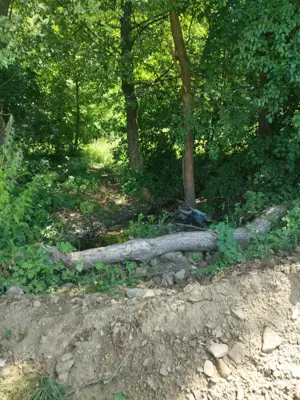 Teren forestier unic cu traseu de drumeție către Cetatea Herecz   77.000 m  în Malnaș, județul Covas - imagine 7